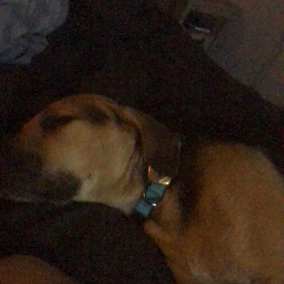 Meet your Posher, J - Picture 1 of 1